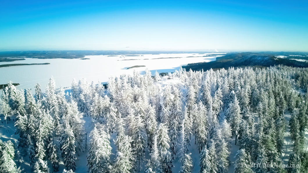 Julistesarja: Kolilta eri vuodenaikoina