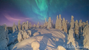 Ilmakuvakalenteri 2023 - Pohjois-Karjala